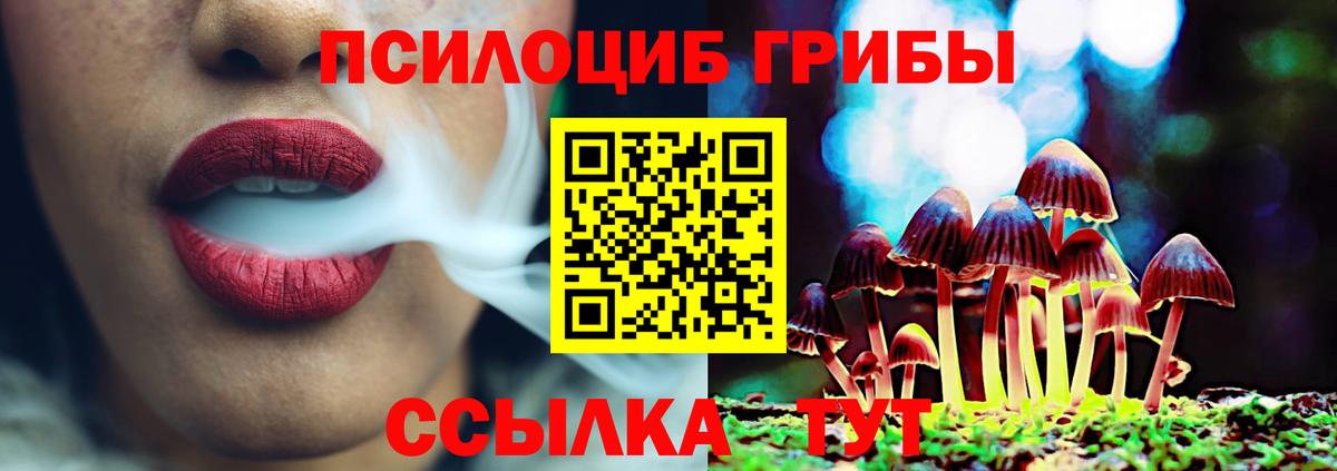 Юрга  Галлюциногенные грибы Magic Shrooms  цена   Галлюциногенные грибы мицелий  Вход с VPN 