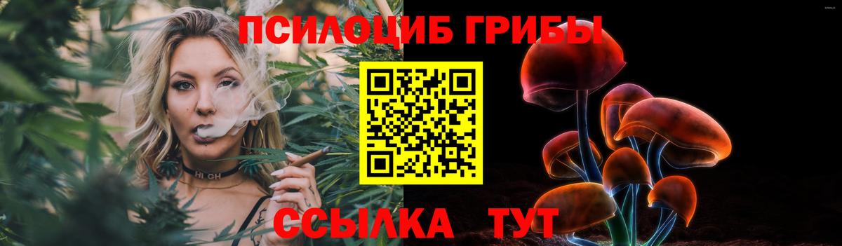 Псилоцибиновые грибы MAGIC MUSHROOMS Юрга